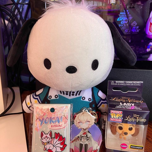 pochacco plush