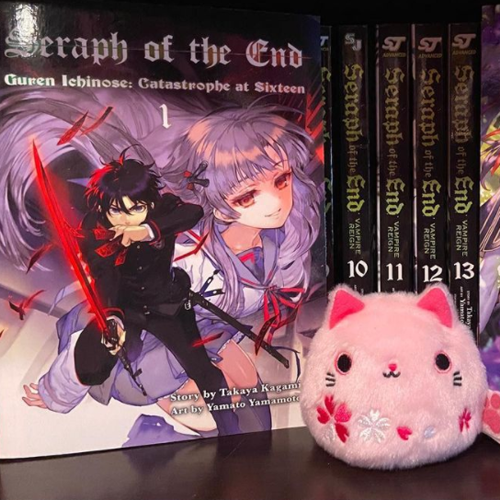 seraph of the end light novel